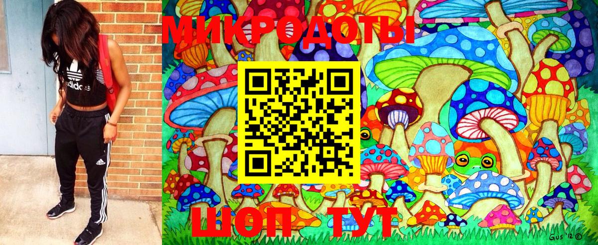 Жуковский  Галлюциногенные грибы MAGIC MUSHROOMS  где можно купить   Вход с VPN 