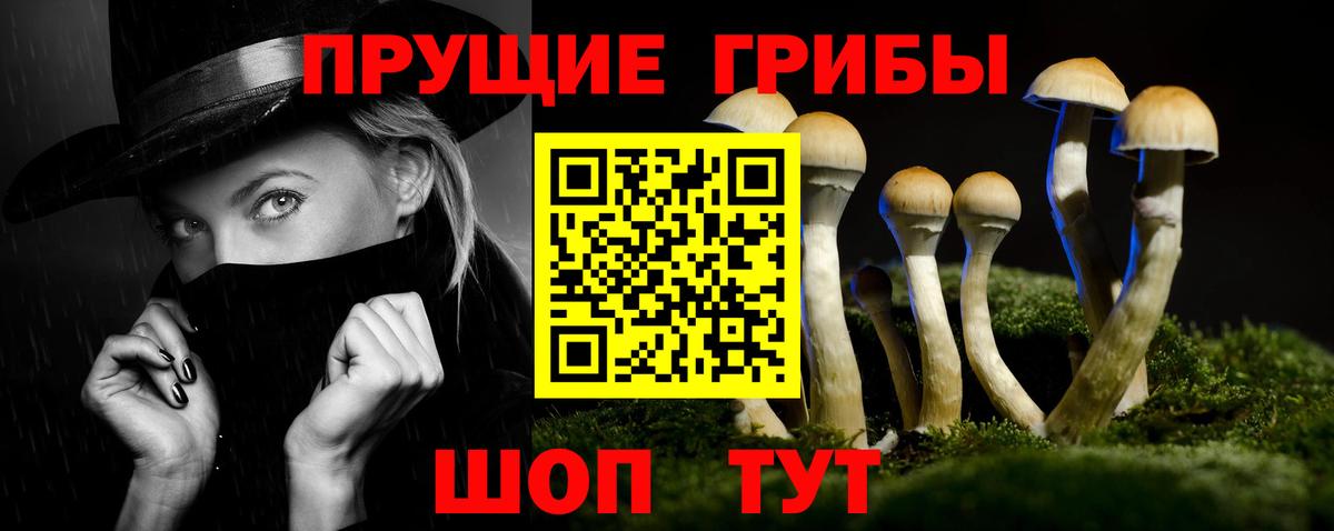 Галлюциногенные грибы мухоморы Жуковский